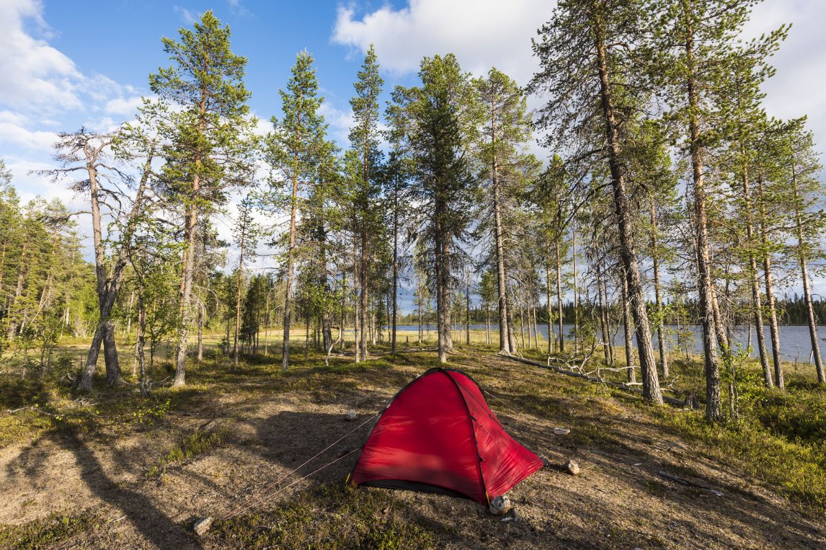 Wild Camping in Tent